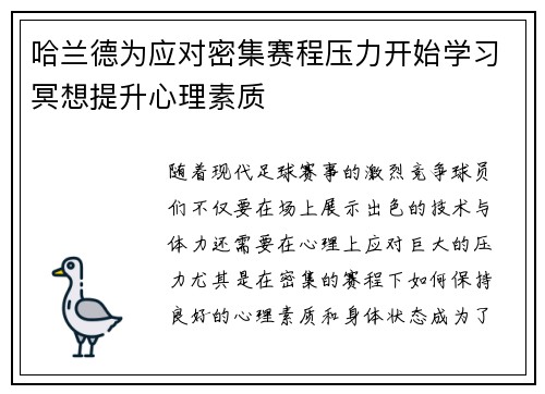 哈兰德为应对密集赛程压力开始学习冥想提升心理素质